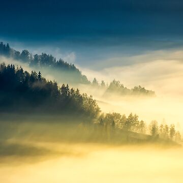 Artwork thumbnail, deep fog above the valley at sunrise by mike-pellinni