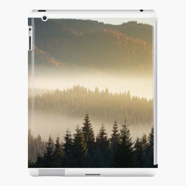 beautiful foggy scenery in autumn iPad Snap Case