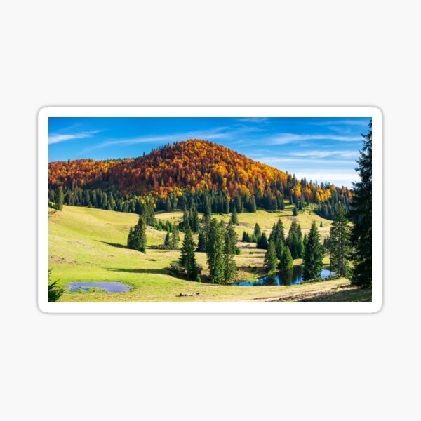 splendid autumn landscape on a bright day Sticker