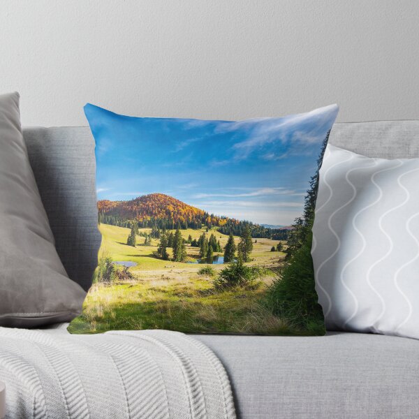 pond among spruce trees Throw Pillow