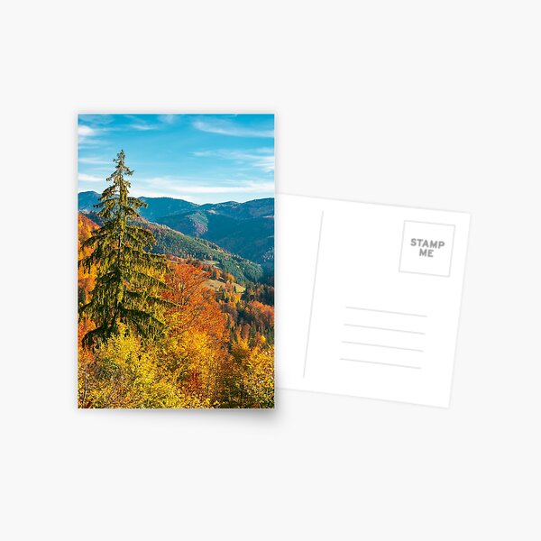beautiful autumn background Postcard