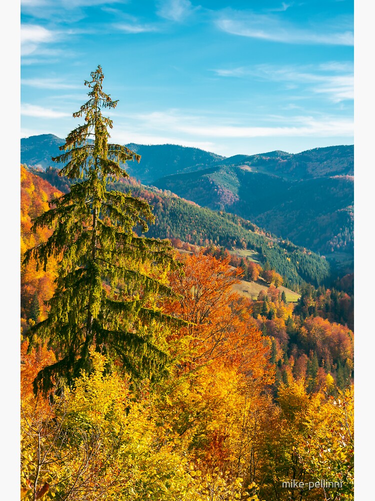 beautiful autumn background by mike-pellinni