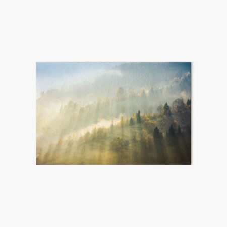 beautiful nature scene in fog Art Board Print