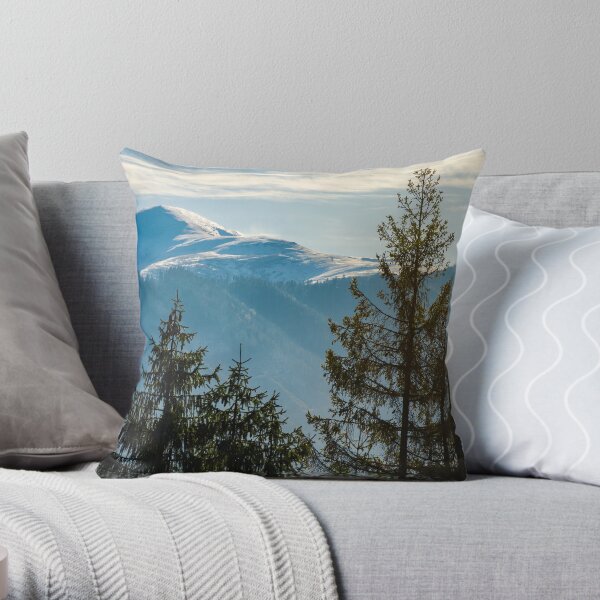 lovely november countryside background Throw Pillow
