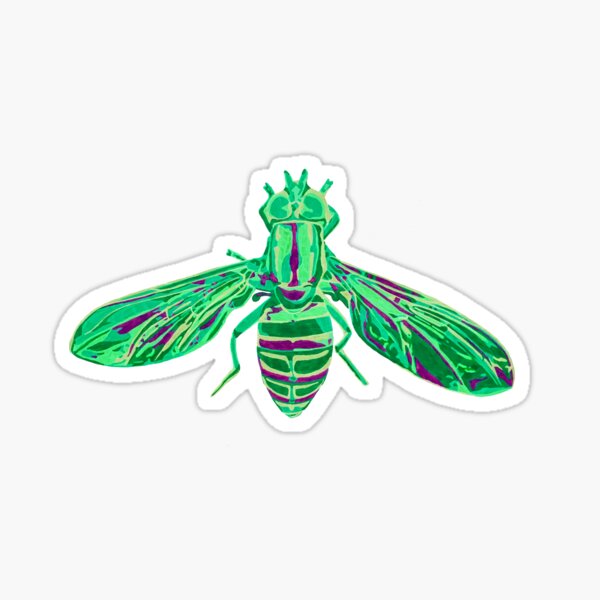Syrphid Fly Sticker