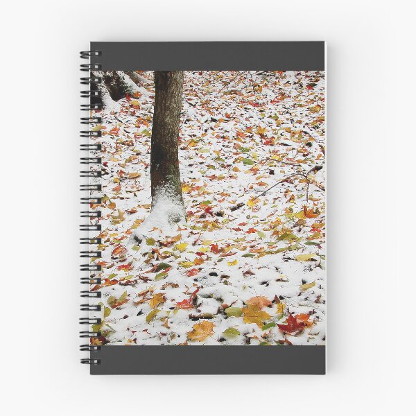 Item preview, Color and Snow designed and sold by J Rier Photography.