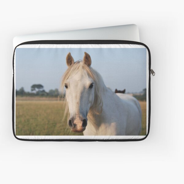 Item preview, Tu me regardes ?! designed and sold by jamesknightsart.