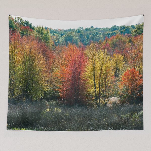 Item preview, Forest Glow designed and sold by Adam Bykowski.