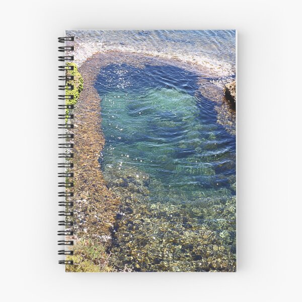 Item preview, Swimming pool designed and sold by Paul Pasco.