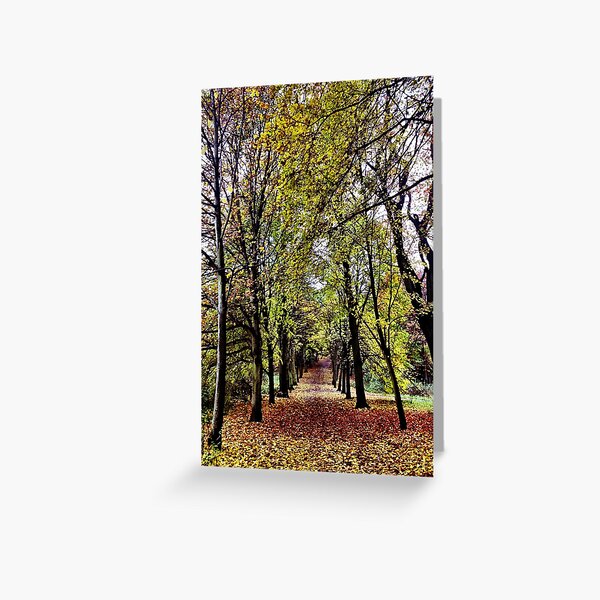 Autumnal walk on Hampstead Heath Greeting Card
