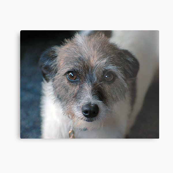 Chloe Metal Print