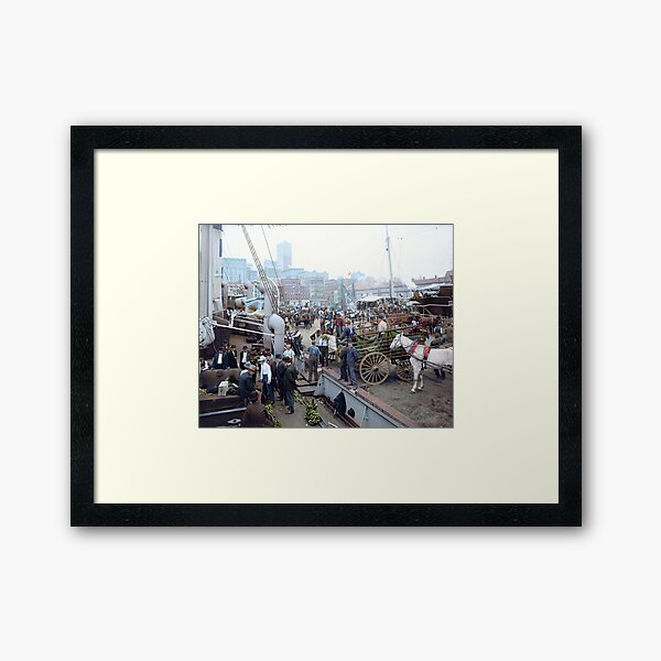 Item preview, Banana docks, New York, ca. 1890-1910. designed and sold by Marina Amaral.