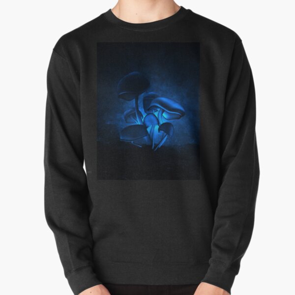 Translucence Pullover Sweatshirt