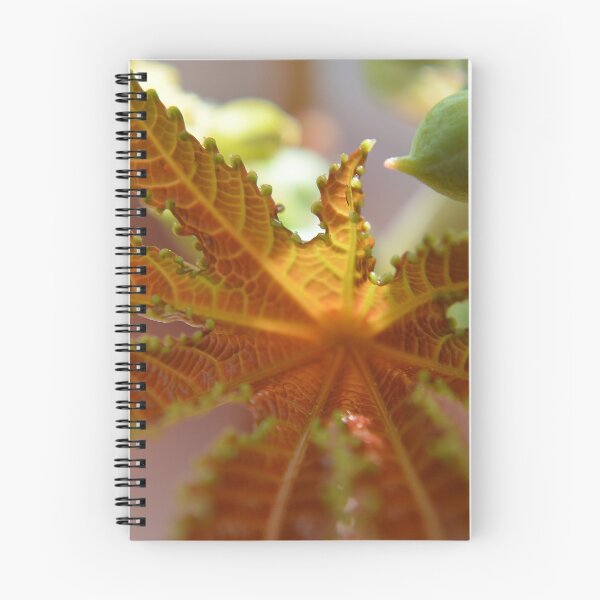 Item preview, transparency designed and sold by michelle meenawong.