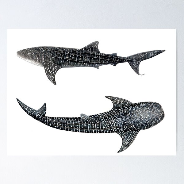 Whale Shark Prints, A4, 324 G, Fine Art Textured Paper, Dotwork, Ocean,  Illustration, Wall Decor, Naturalista, 8.27 X 11.69 