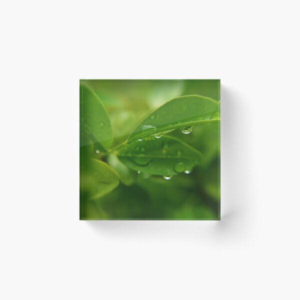 Item preview, morning dew designed and sold by michelle meenawong.