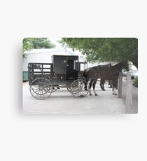Amish Buggy #1 Metal Print