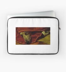 Warming Up Laptop Sleeve