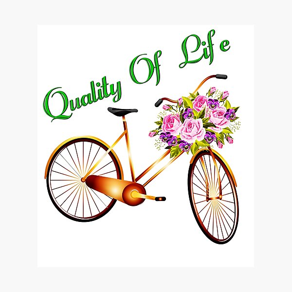 Quality Of Life Bicycle Fotodruck