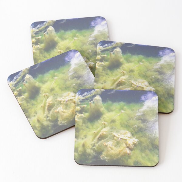 Item preview, Random Captures R113c designed and sold by Hyperion Photoart.