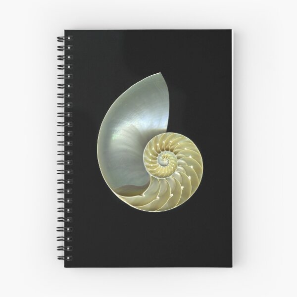 Item preview, Nautilus B designed and sold by scankunst.