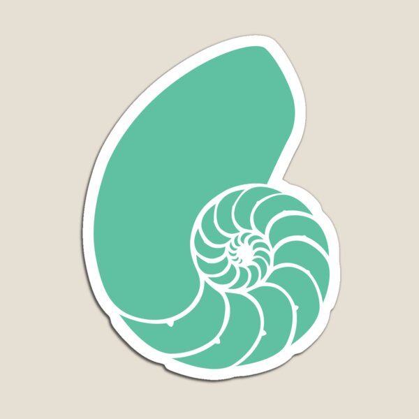 shell Magnet