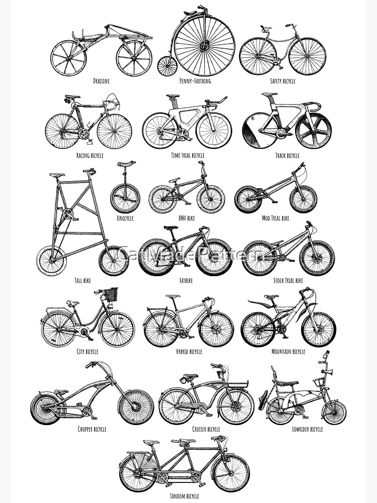 types of cycling