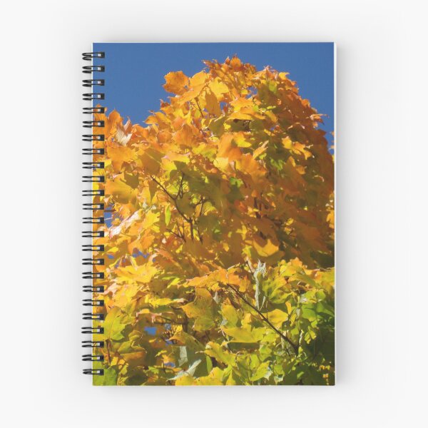 Item preview, Pure Fall designed and sold by John McCloskey.