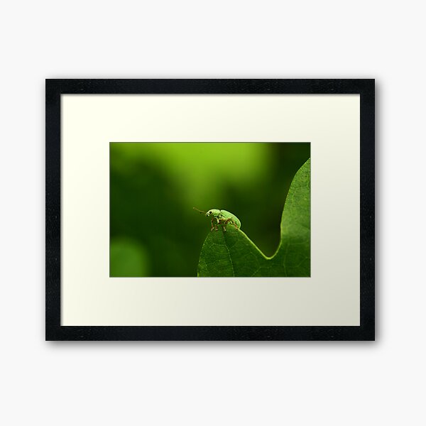 down to the hill Framed Art Print
