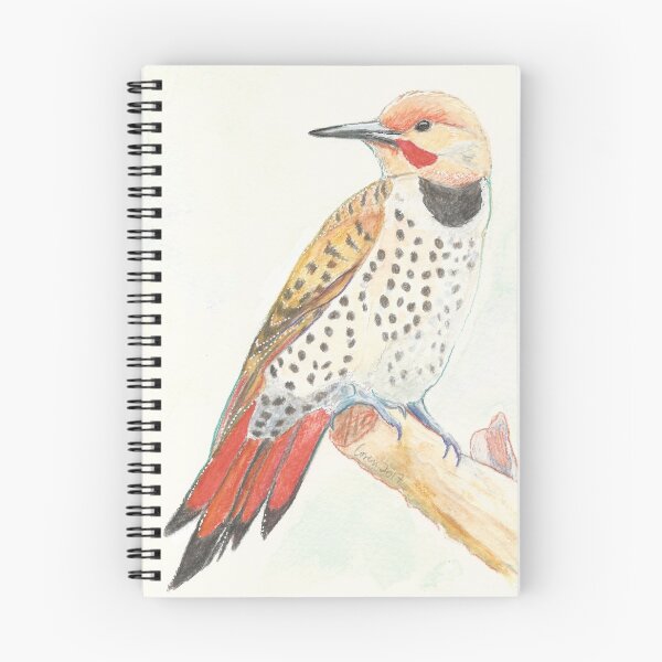 Artikelvorschau, Northern Flicker Bird Art.-Nr. entworfen und verkauft von Loren Griffyn.