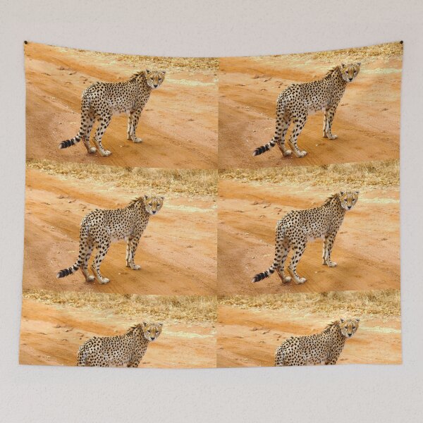Item preview, Cheetah watching us watching him! designed and sold by 2CrabbySisters.