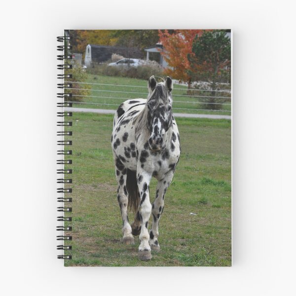 Item preview, Appaloosa Stallion in Fall Trees designed and sold by Crystal Stock.