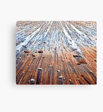 Finding Solace Canvas Print