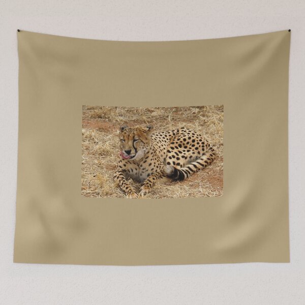 Item preview, Cheetah "Chillin" in South Africa designed and sold by 2CrabbySisters.