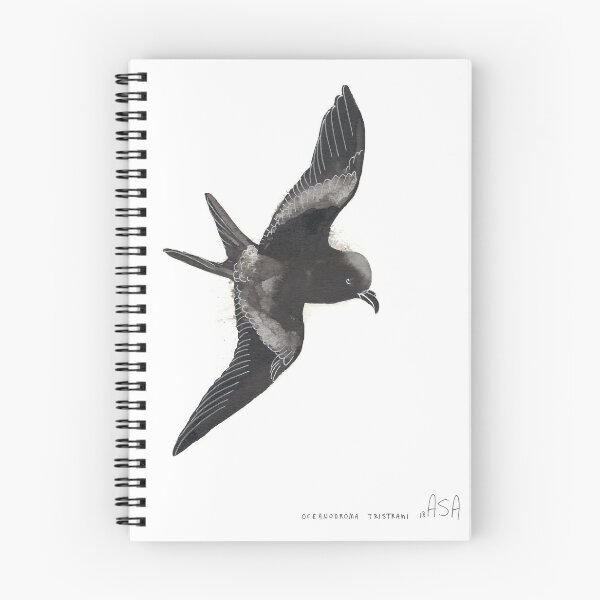 Item preview, Tristram's Storm Petrel designed and sold by KureAtoll.