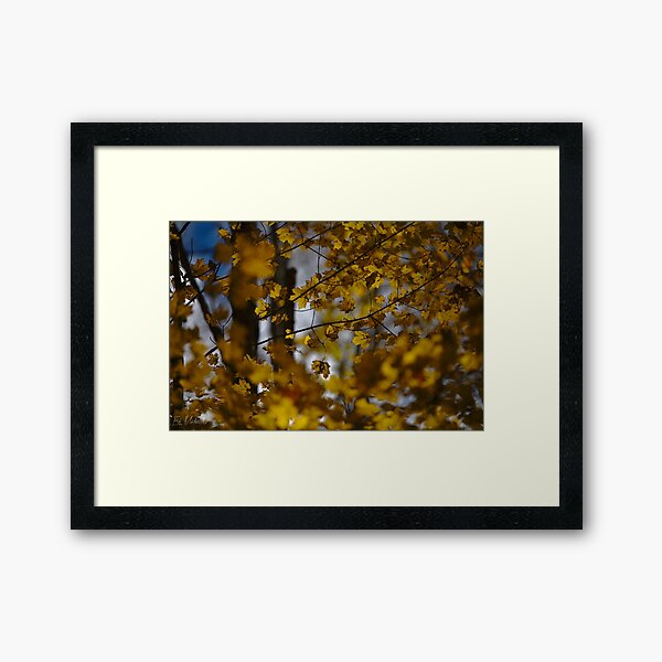 Layers of gold Framed Art Print