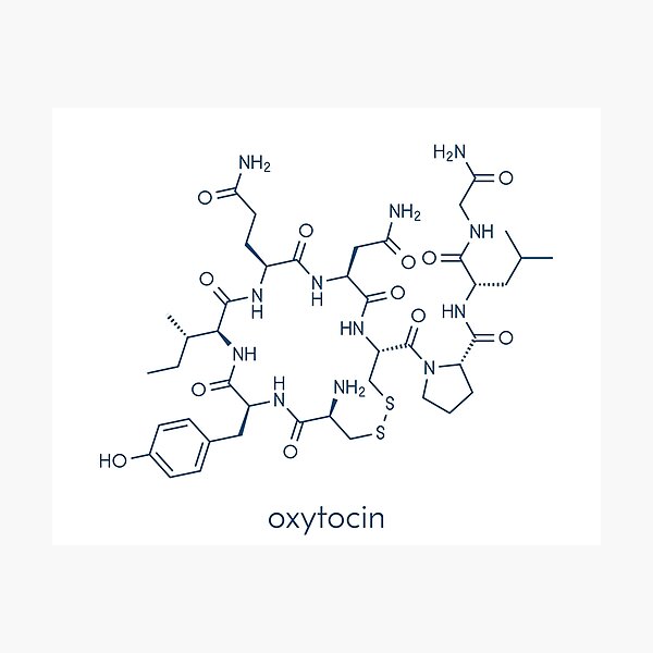 Oxytocin hormone molecule. Skeletal formula. Photographic Print