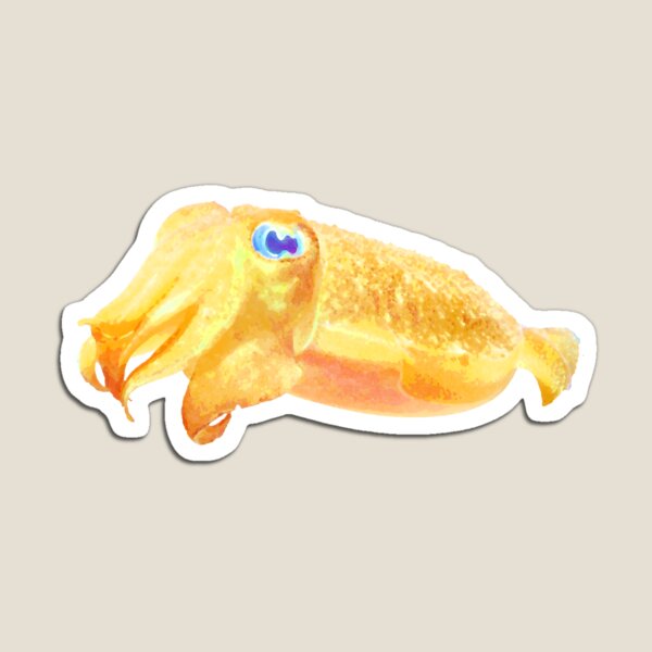Cute Cuttlefish Magnet