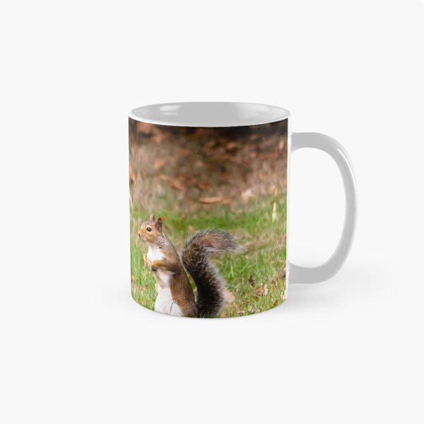 Item preview, Squirrel stood up in grass designed and sold by Karrakunga.