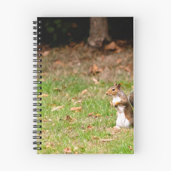 Item preview, Squirrel stood up in grass designed and sold by Karrakunga.