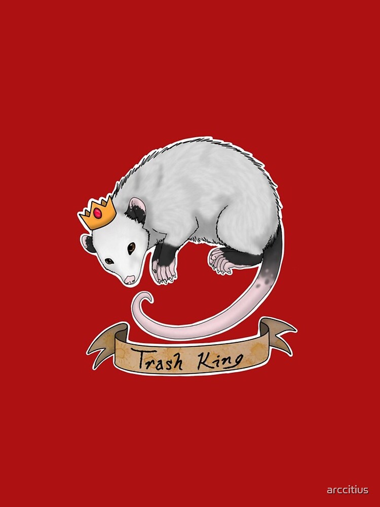 Trash King Opossum Possum by arccitius