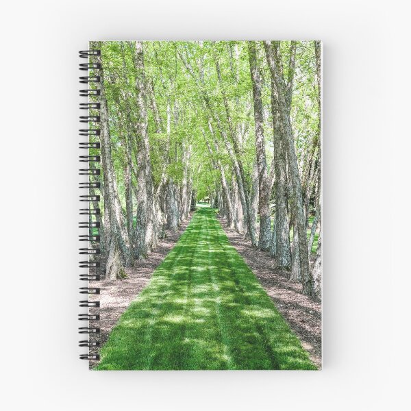 Item preview, Line of Birch Trees designed and sold by dbvirago.