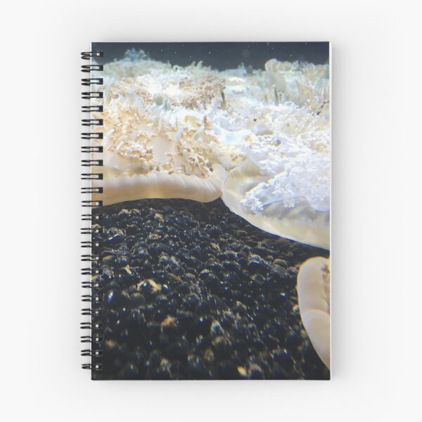 Item preview, Jellyfish designed and sold by BeachBumFamily.