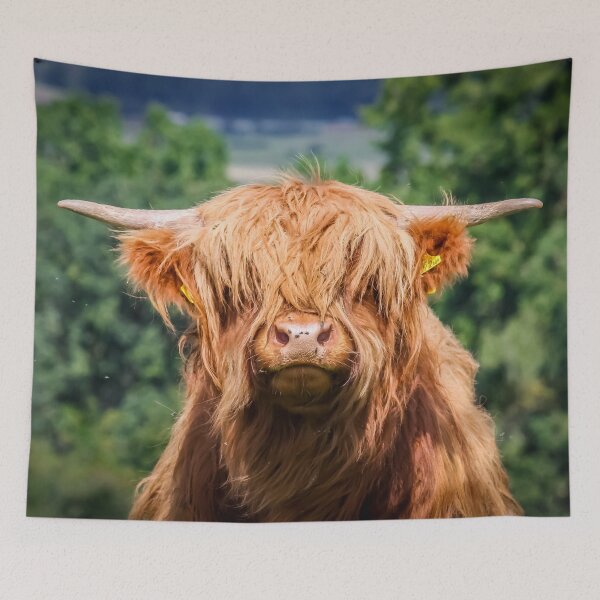 Item preview, Long-haired cow designed and sold by Anguru.