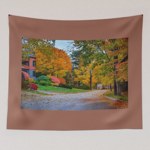 Item preview, Autumn road in Brookline, MA designed and sold by LudaNayvelt.