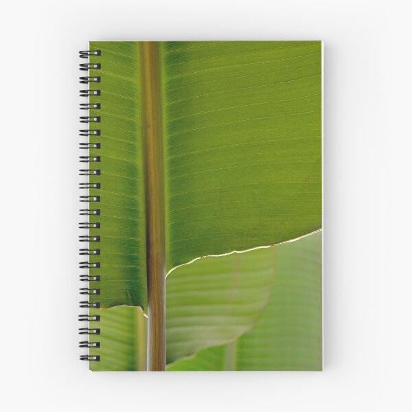 Item preview, Banana Leaf in Abstract 0527 designed and sold by Larry Costales.