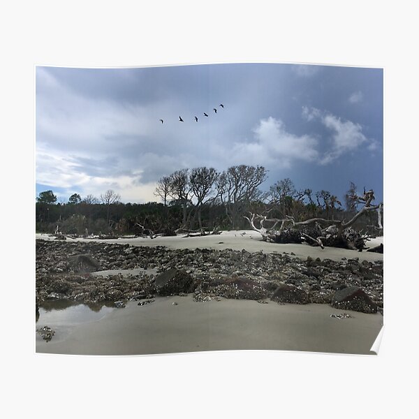 Jekyll Island Boneyard Beach Poster