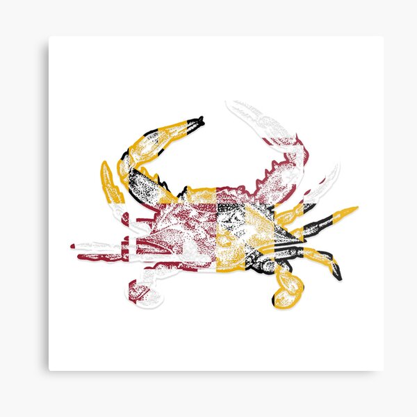 Maryland crab Metal Print