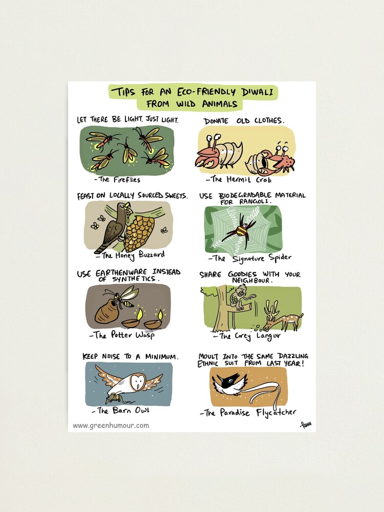 Eco-friendly Diwali Tips from Wild Animals Eco-friendly Diwali Tips from Wild Animals