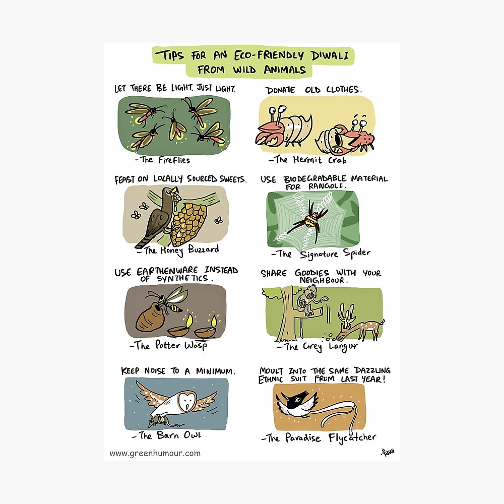 Eco-friendly Diwali Tips from Wild Animals Eco-friendly Diwali Tips from Wild Animals
